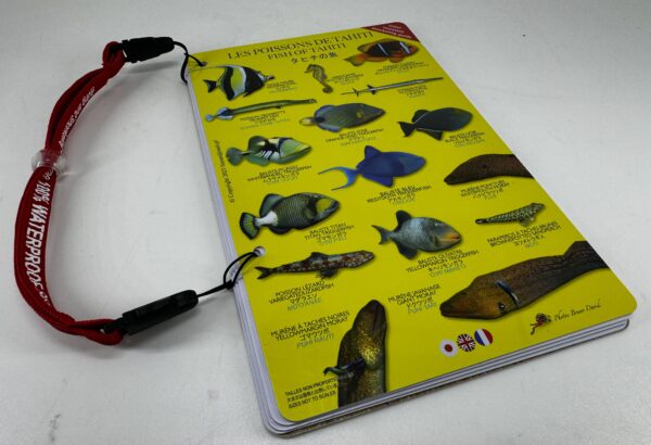 Livre Submersible Poissons – Image 9